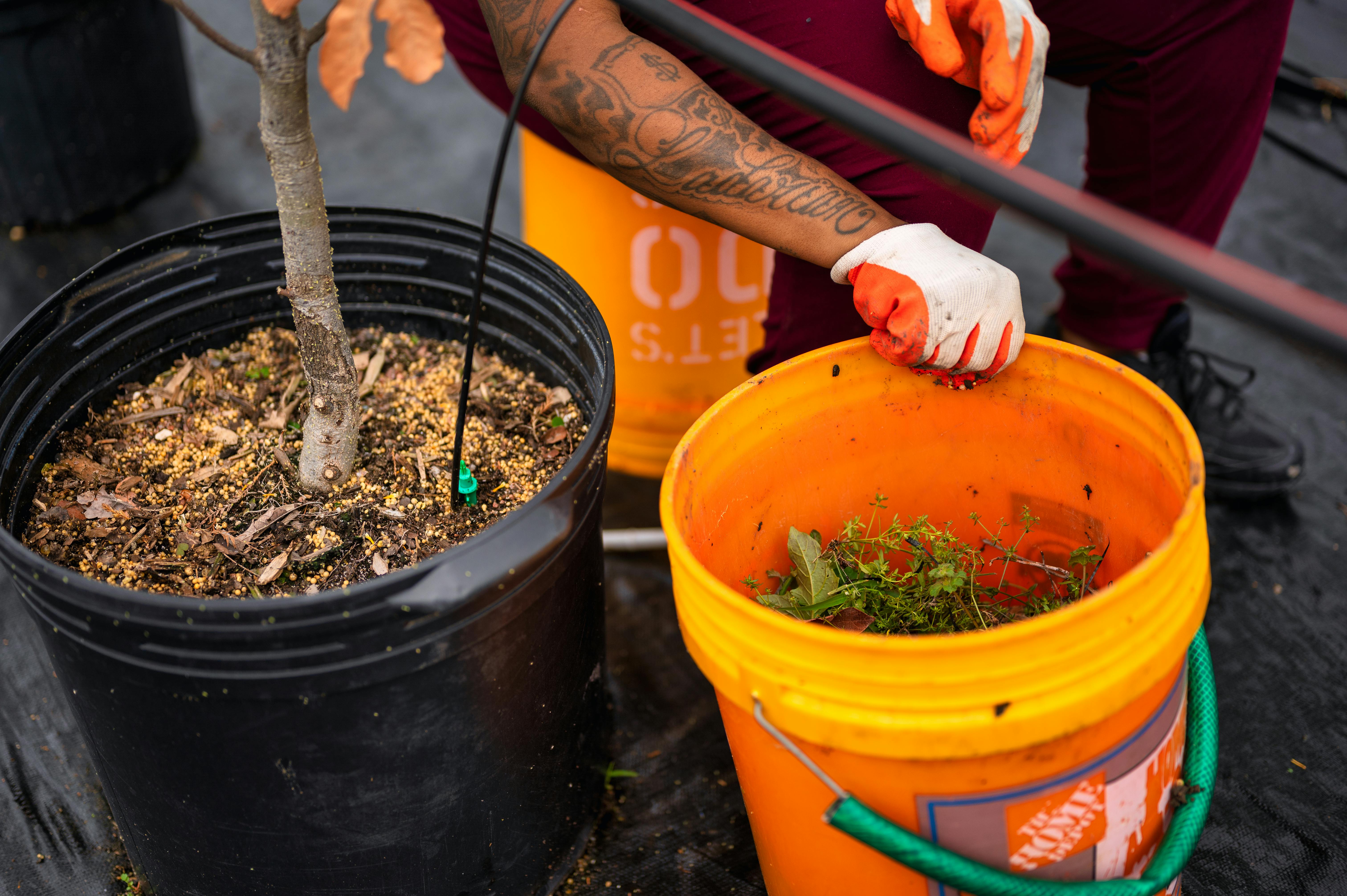 Fall cleanup crew removing leaves in Middle Arizona yard